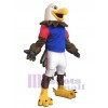 Eagle mascot costume