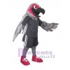 Hawk mascot costume