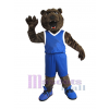 Bear mascot costume