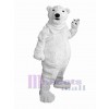 Bear mascot costume