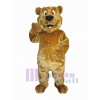 Bear mascot costume
