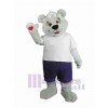 Bear mascot costume