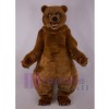 Bear mascot costume
