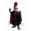 Knight mascot costume