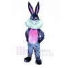 Happy Bunny Rabbit Mascot Costumes Cartoon