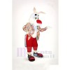 Gent Rabbit Mascot Costumes Cheap
