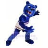 Fierce Blue Bear Mascot Costumes