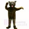 Grizzly Bear Mascot Costumes Adult