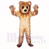 Friendly Furry Bear Mascot Costumes Cartoon