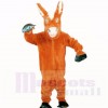 Friendly Donkey Mascot Costumes Cartoon