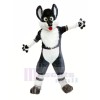 Happy Husky Dog Mascot Costumes Cartoon