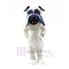 Lightweight White Bulldog Mascot Costumes