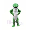 Plush Green Frog Mascot Costumes Cartoon