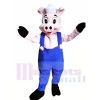 Cute Little Pig Mascot Costumes