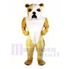 Cute Lightweight Bulldog Mascot Costume