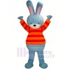 Blue Bunny Mascot Costumes Cartoon	