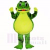 Smiling Friendly Lightweight Frog Mascot Costumes School