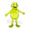 Frog with Big Eyes Mascot Costumes Cartoon