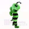 Friendly Green Bee Mascot Costumes Adult