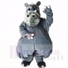 Grey Lightweight Hippo Mascot Costumes Cartoon