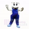 Sport Pig with Blue Overalls Mascot Costumes School