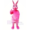 Pink Kangaroo Mascot Costumes Cartoon
