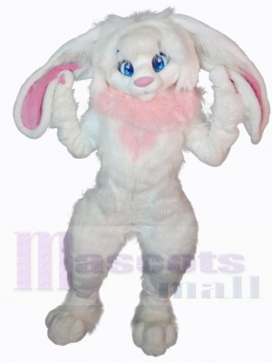 Easter Bunny Rabbit mascot costume