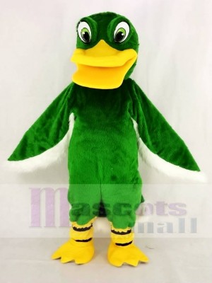 Funny Green Duck Mascot Costume School