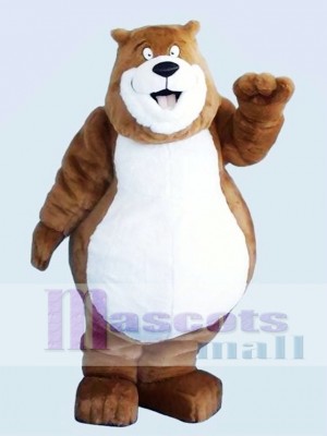 Brown Charmin Bear Mascot Adult Costume