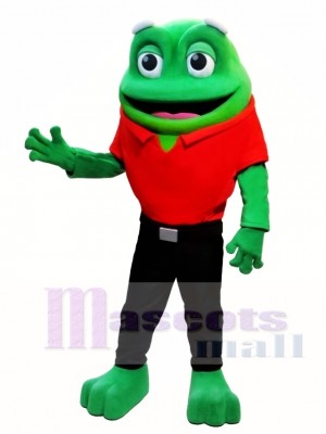 Cute Frog Animal Mascot Costume