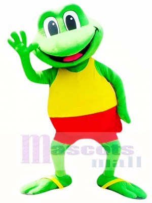 Cute Frog Mascot Costume