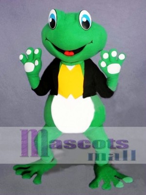 Cute Frog Mascot Costume  