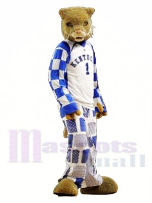 College Sport Wildcat Mascot Costume Free Shipping 