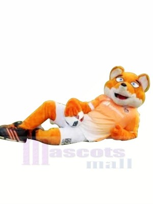 Soccer Bear Mascot Costumes Cartoon