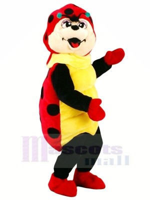 Cute Ladybug Mascot Costumes Cartoon	