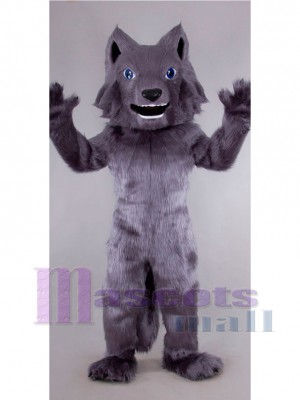 Wolf mascot costume