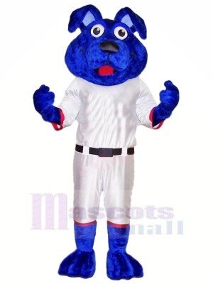 Blue Dog with White Suit Mascot Costumes Animal	