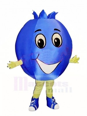Top Quality Blueberry Mascot Costume 
