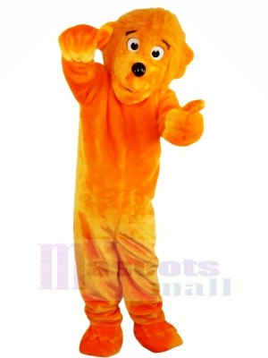 Funny Lion Mascot Costumes 