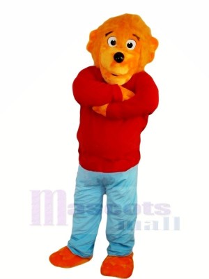 Funny Lion with Red Sweater Mascot Costumes Animal