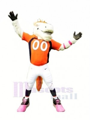 Mustang Horse Broncos Mascot Costumes Cartoon	