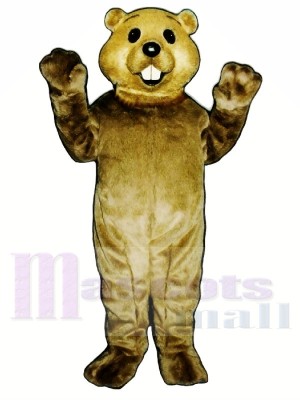 Cute Groundhog Mascot Costumes 