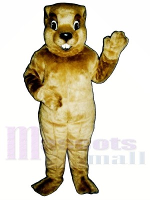 Groundhog Mascot Costumes 