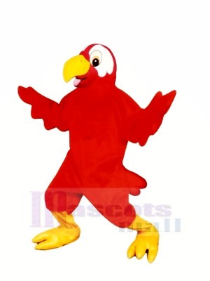 Marty Macaw Mascot Costumes Cartoon