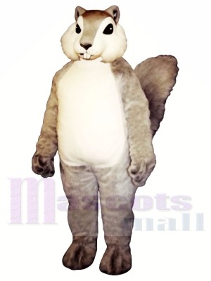 Grey Squirrel Mascot Costume Animal 