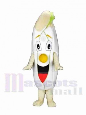 Chicory Salad Mascot Costume