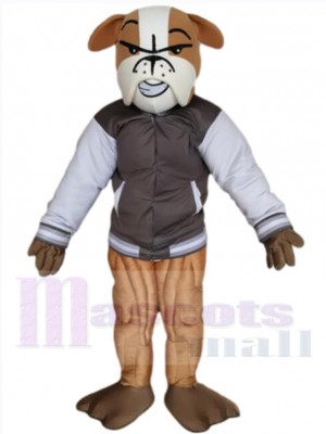 Bulldog mascot costume