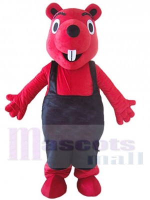 Squirrel mascot costume