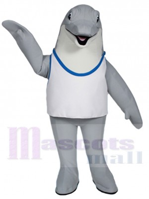 Dolphin mascot costume