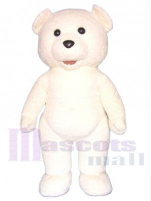 Teddy Bear mascot costume